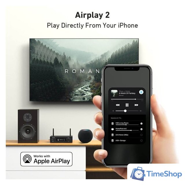 Сетевой интегральный усилитель Arylic H50 - Изображение №3 — Интернет-магазин Time-Shop