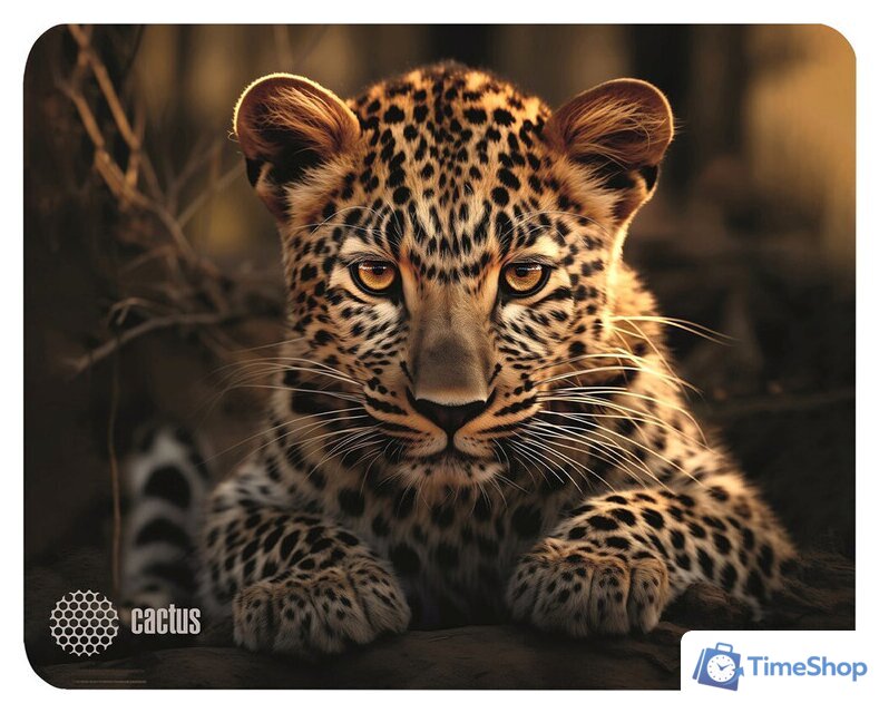 Коврик для мыши CACTUS CS-MP-D06S - Изображение №1 — Интернет-магазин Time-Shop