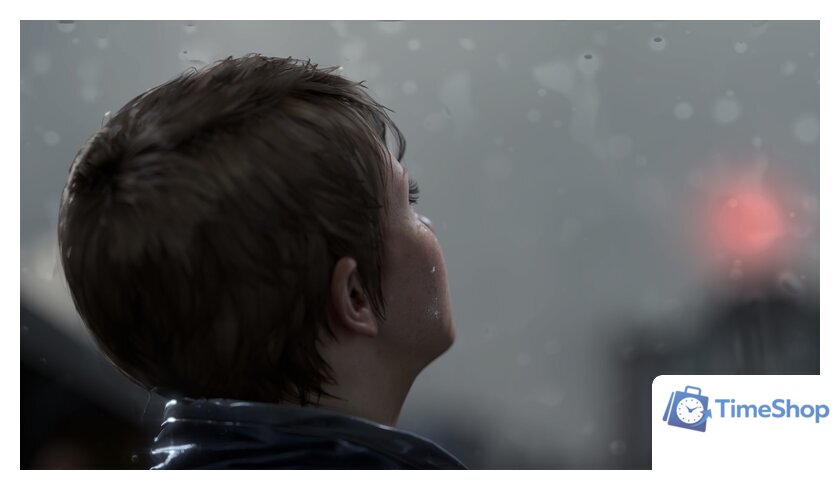  Detroit: Become Human для PlayStation 4 - Изображение №5 — Интернет-магазин Time-Shop