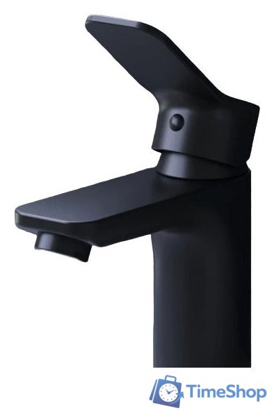 Смеситель AM.PM F88A02122 (черный) - Изображение №1 — Интернет-магазин Time-Shop