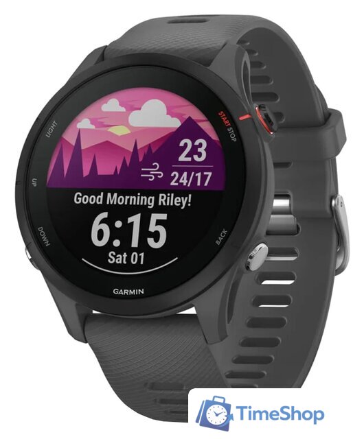 Умные часы Garmin Forerunner 255 (сланцево-серый/черный) - Изображение №1 — Интернет-магазин Time-Shop