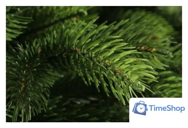 Ель National Tree Company Эверест ЭВ-180 (180 см) - Изображение №4 — Интернет-магазин Time-Shop