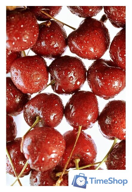 Беззеркальный фотоаппарат Nikon Z50 II Double Kit 16-50mm VR + 50-250mm VR - Изображение №38 — Интернет-магазин Time-Shop