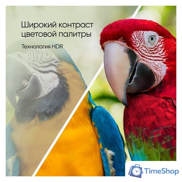 Телевизор Topdevice 65