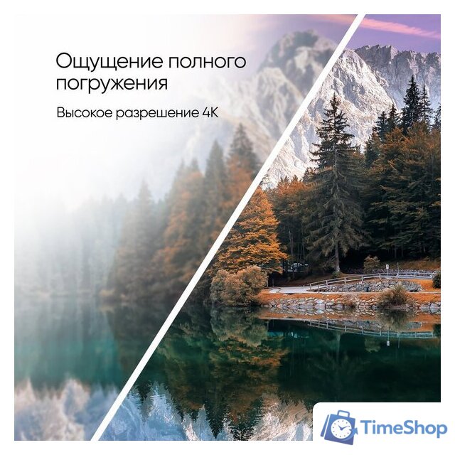 Телевизор Topdevice 65