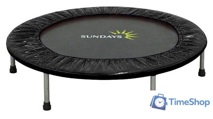Батут Sundays D101 (черный) - Изображение №1 — Интернет-магазин Time-Shop