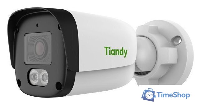 IP-камера Tiandy TC-C36QN 2ENA-28 - Изображение №1 — Интернет-магазин Time-Shop