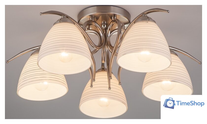 Припотолочная люстра Евросвет 30121/5 (никель) - Изображение №1 — Интернет-магазин Time-Shop