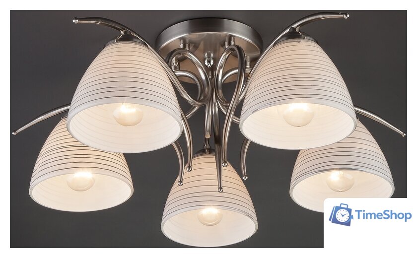 Припотолочная люстра Евросвет 30121/5 (никель) - Изображение №2 — Интернет-магазин Time-Shop