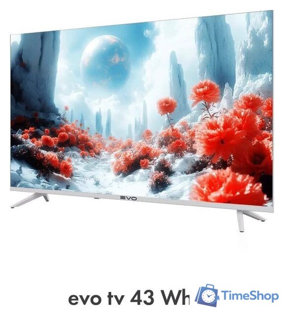 Телевизор Evo TV 43 White TD0051750RU - Изображение №8 — Интернет-магазин Time-Shop
