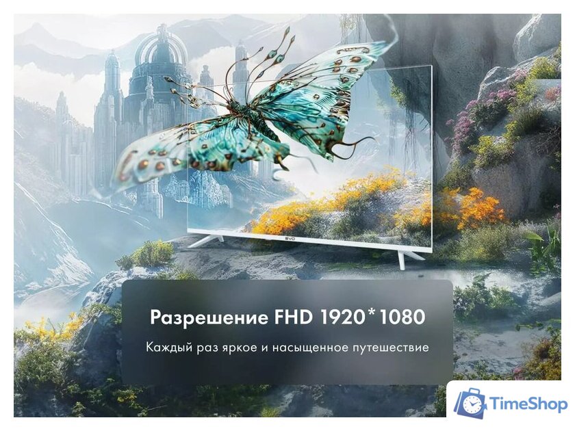Телевизор Evo TV 43 White TD0051750RU - Изображение №7 — Интернет-магазин Time-Shop