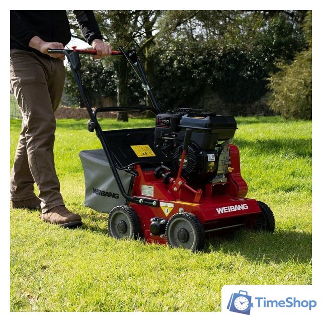 Скарификатор Weibang WB 384RB - Изображение №5 — Интернет-магазин Time-Shop