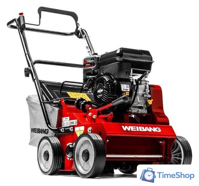 Скарификатор Weibang WB 384RB - Изображение №1 — Интернет-магазин Time-Shop