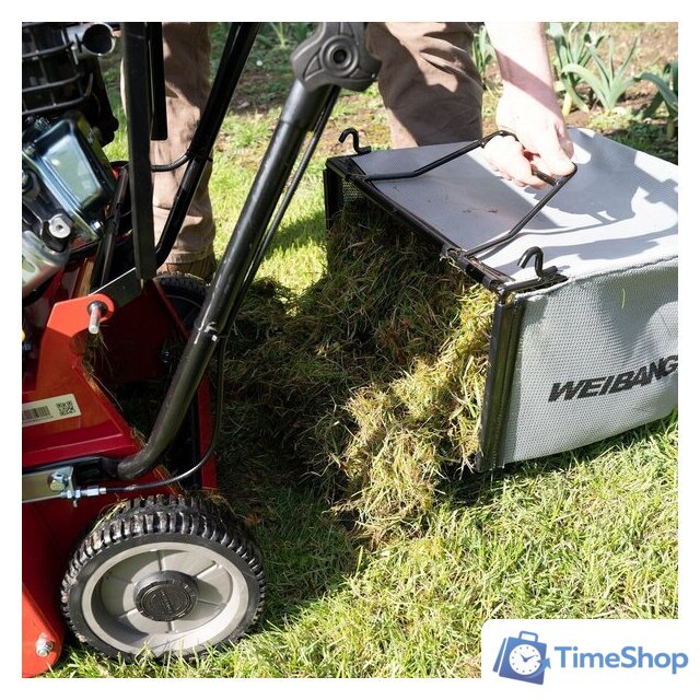 Скарификатор Weibang WB 384RB - Изображение №4 — Интернет-магазин Time-Shop