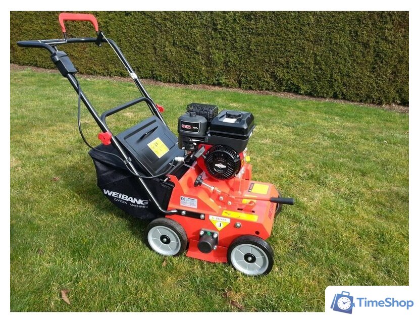 Скарификатор Weibang WB 384RB - Изображение №6 — Интернет-магазин Time-Shop