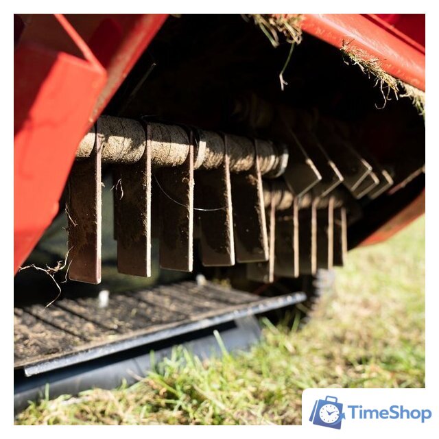 Скарификатор Weibang WB 384RB - Изображение №2 — Интернет-магазин Time-Shop