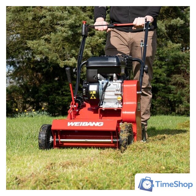 Скарификатор Weibang WB 384RB - Изображение №3 — Интернет-магазин Time-Shop