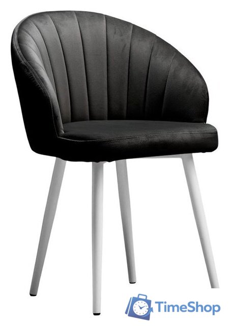  Памир Зефир F90 (черный/белая опора) - Изображение №1 — Интернет-магазин Time-Shop