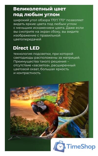 Телевизор MAUNFELD MLT43USD02 - Изображение №7 — Интернет-магазин Time-Shop