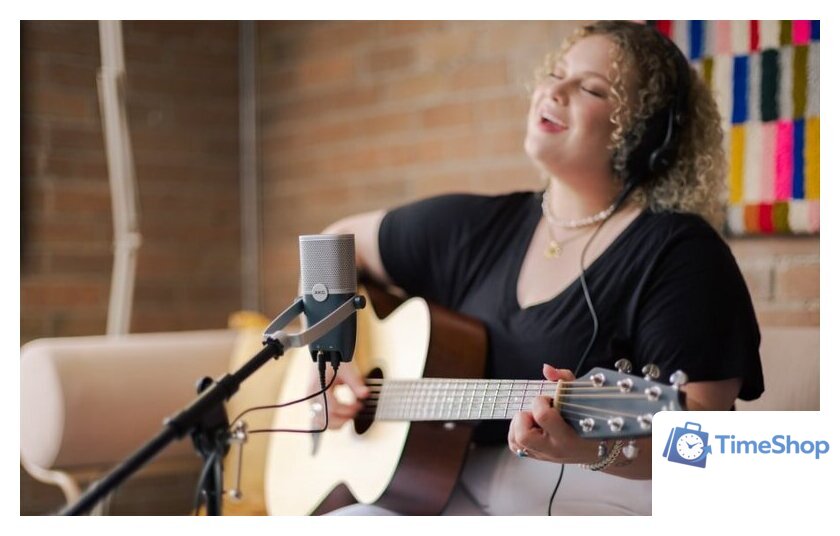 Проводной микрофон AKG ARA - Изображение №8 — Интернет-магазин Time-Shop