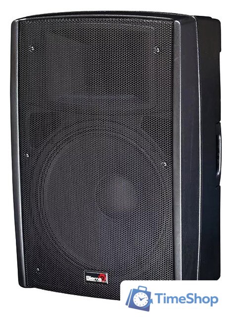 Активная акустика Biema B2-110 Power - Изображение №1 — Интернет-магазин Time-Shop