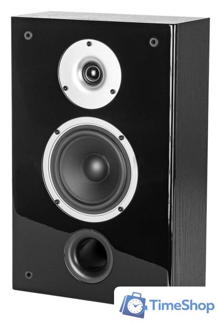  WILSON Raptor On-Wall Black Ash - Изображение №4 — Интернет-магазин Time-Shop