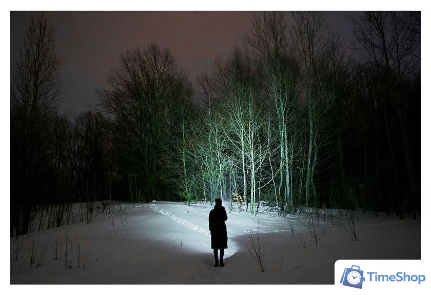 Фонарь Armytek Elf C2 Micro USB (теплый) - Изображение №12 — Интернет-магазин Time-Shop