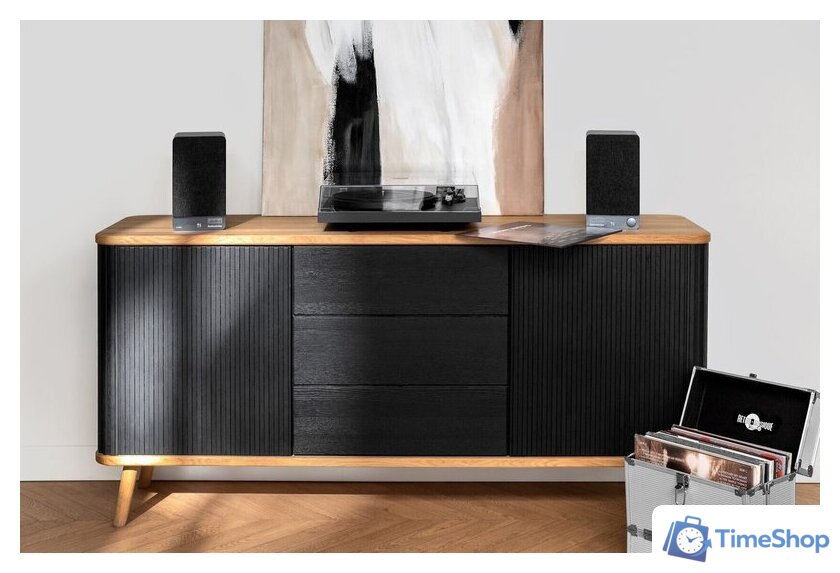 Полочная акустика Radiotehnika S-10NA - Изображение №6 — Интернет-магазин Time-Shop