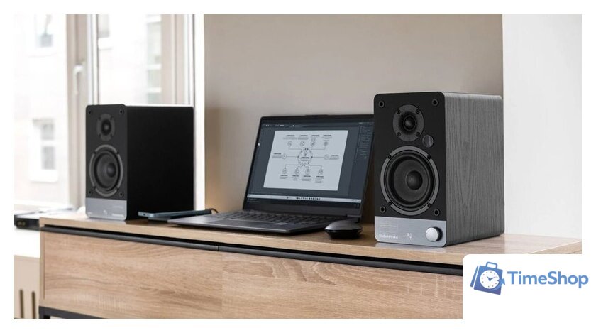 Полочная акустика Radiotehnika S-10NA - Изображение №3 — Интернет-магазин Time-Shop