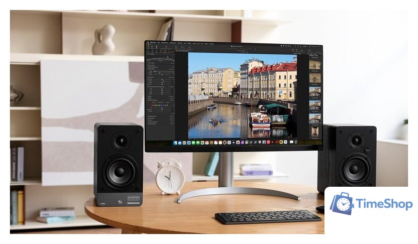 Полочная акустика Radiotehnika S-10NA - Изображение №4 — Интернет-магазин Time-Shop