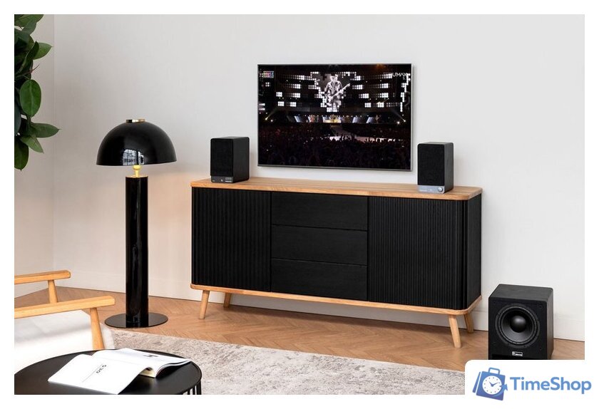 Полочная акустика Radiotehnika S-10NA - Изображение №5 — Интернет-магазин Time-Shop