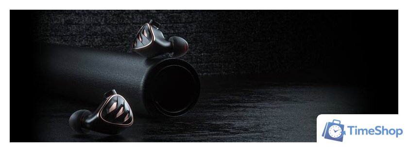 Наушники FiiO FH5s (черный) - Изображение №12 — Интернет-магазин Time-Shop