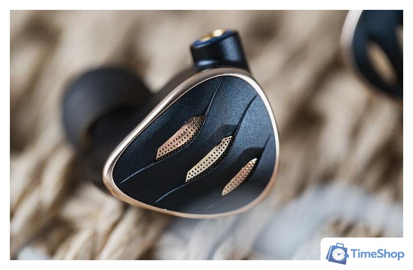 Наушники FiiO FH5s (черный) - Изображение №11 — Интернет-магазин Time-Shop