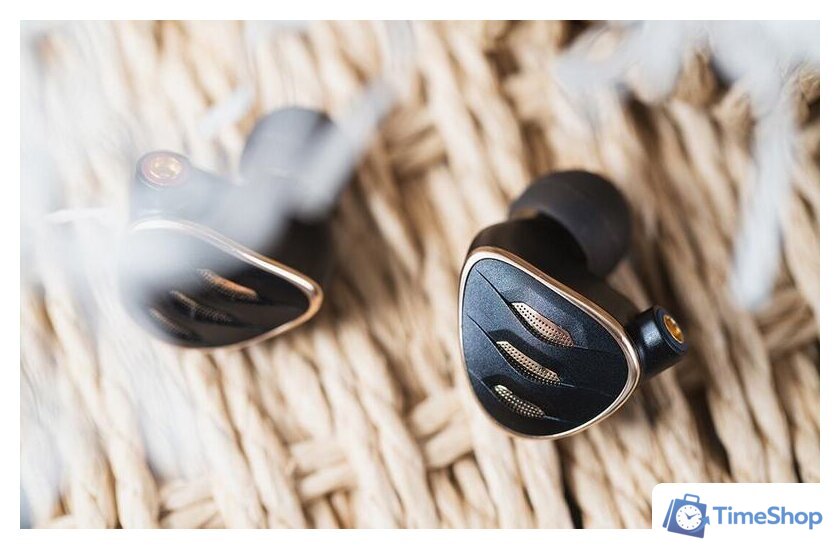 Наушники FiiO FH5s (черный) - Изображение №10 — Интернет-магазин Time-Shop