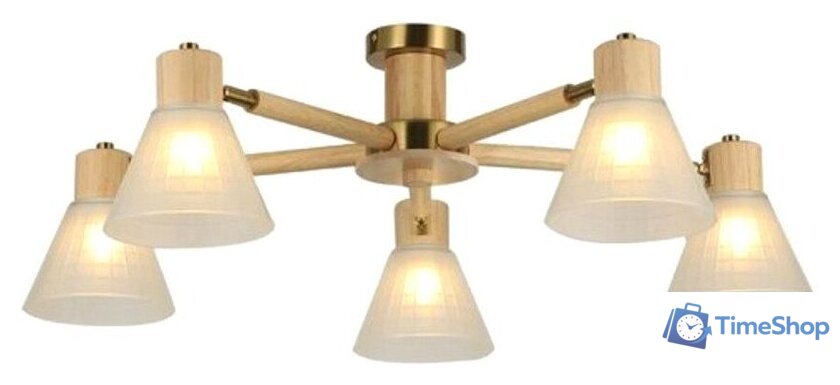 Люстра средней высоты Arte Lamp Meleph A4096PL-5BR - Изображение №1 — Интернет-магазин Time-Shop
