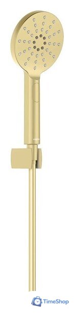 Душевой гарнитур  Aquatek Оберон AQ2033BG (золото) - Изображение №1 — Интернет-магазин Time-Shop