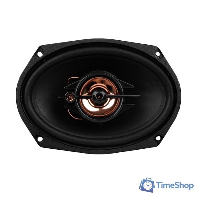 Коаксиальная АС ACV PB-693G - Изображение №4 — Интернет-магазин Time-Shop