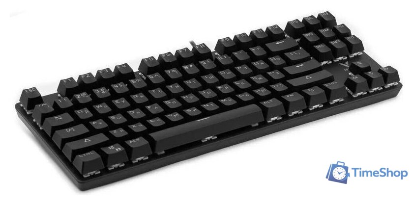 Клавиатура Rapoo V500Pro-87 (черный) - Изображение №2 — Интернет-магазин Time-Shop