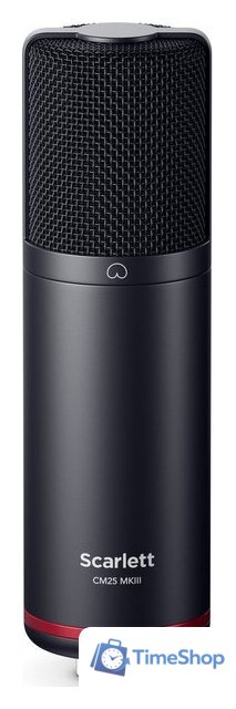 Комплект для звукозаписи Focusrite Scarlett 2i2 Studio (4-е поколение) - Изображение №4 — Интернет-магазин Time-Shop