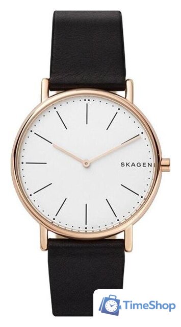 Наручные часы Skagen SKW6430 - Изображение №1 — Интернет-магазин Time-Shop