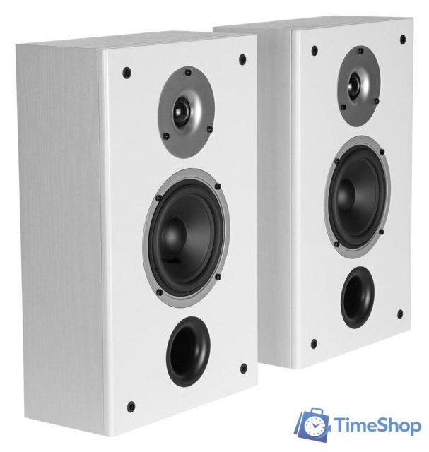  WILSON Raptor On-Wall White Ash - Изображение №1 — Интернет-магазин Time-Shop