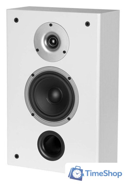  WILSON Raptor On-Wall White Ash - Изображение №4 — Интернет-магазин Time-Shop
