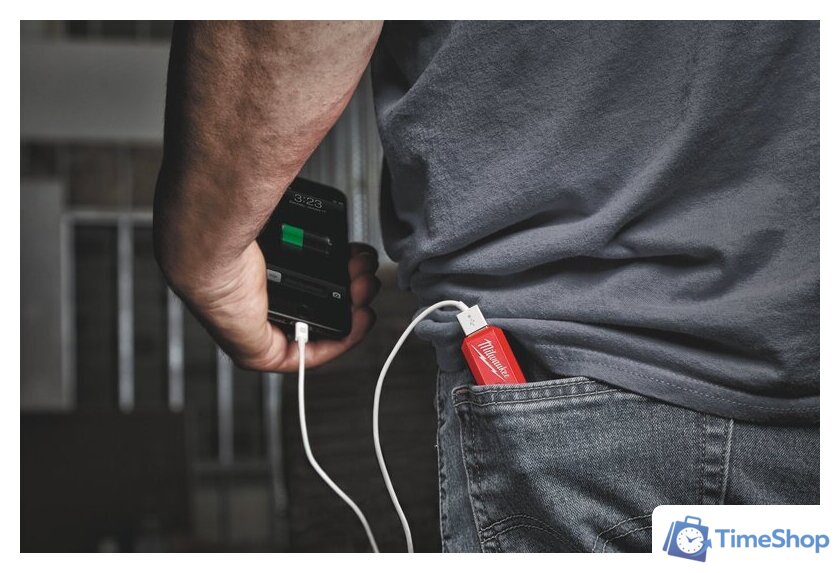 Внешний аккумулятор Milwaukee L4 PPS 3000mAh 4932493335 (красный) - Изображение №3 — Интернет-магазин Time-Shop