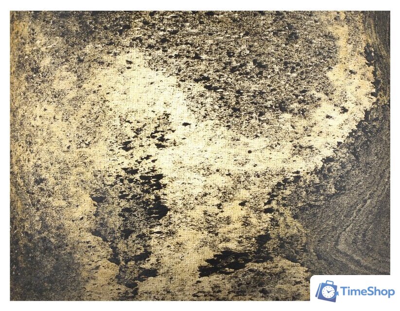 Бра Odeon Light Bergi 5064/1W - Изображение №9 — Интернет-магазин Time-Shop