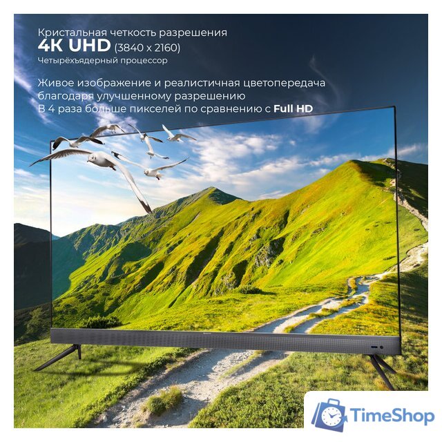 Телевизор Evolution WOS65MR1SBUHD - Изображение №8 — Интернет-магазин Time-Shop