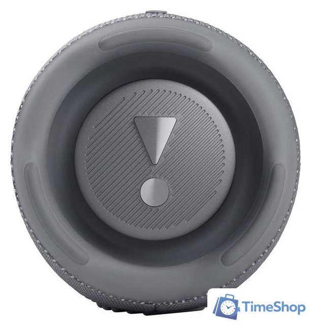 Беспроводная колонка JBL Charge 5 (серый) - Изображение №5 — Интернет-магазин Time-Shop