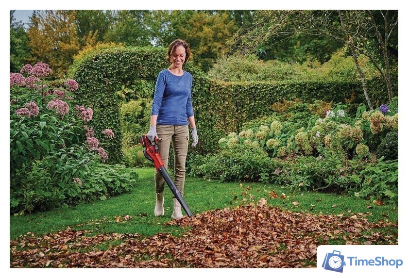 Ручная воздуходувка Einhell GE-UB 18/250 Li E 3433560 (с 1-им АКБ) - Изображение №20 — Интернет-магазин Time-Shop