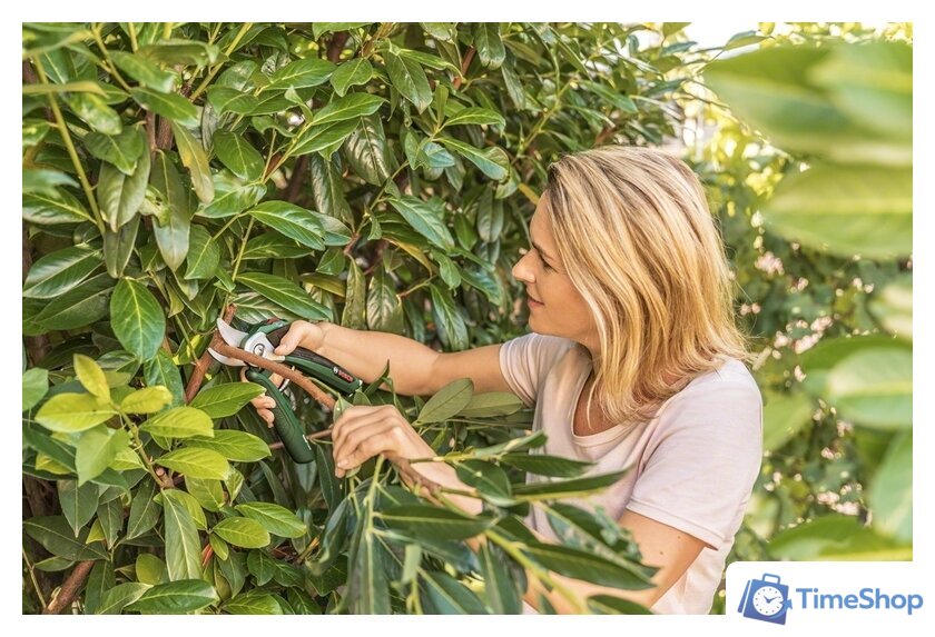 Секатор Bosch EasyPrune - Изображение №2 — Интернет-магазин Time-Shop