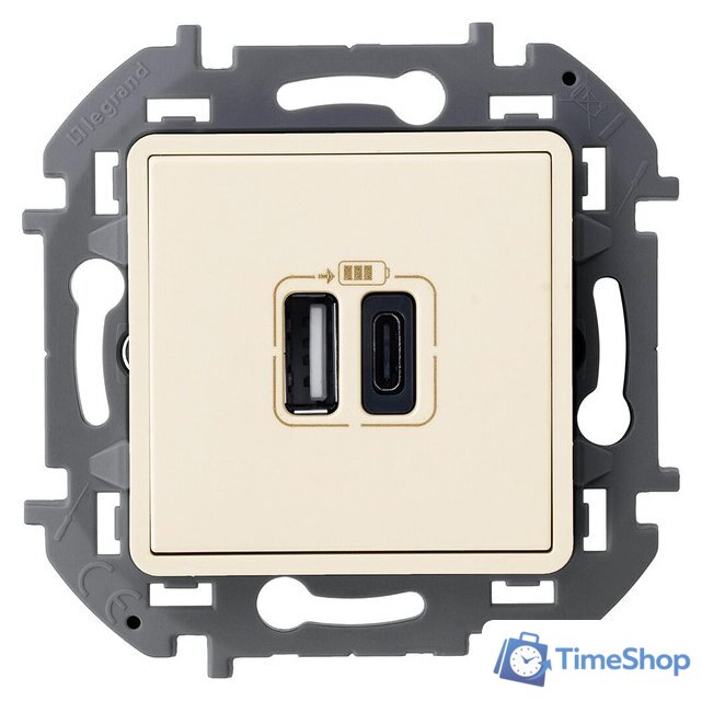 Розетка USB Legrand Inspiria 673761 - Изображение №1 — Интернет-магазин Time-Shop