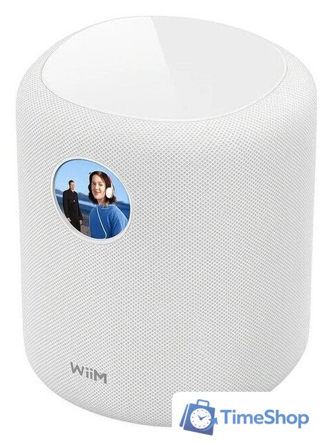 Беспроводная аудиосистема WiiM Sound (белый) - Изображение №1 — Интернет-магазин Time-Shop